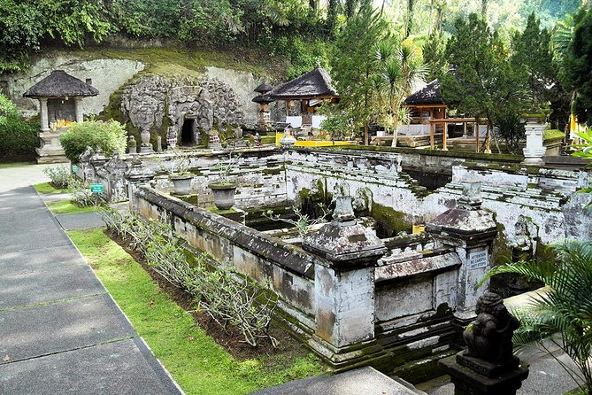 Half Day Bali Tour - Stop 3: Tegalalang Rice Terrace, where lunch becomes optional but views are not