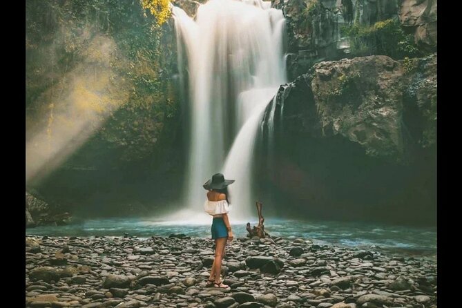 Half Day Bali Tour - Price and logistics: how $40 works when entry fees are included