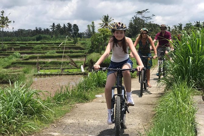 Half Day Cycling Tour ( Manual Bike ) - Key highlights to know before you book