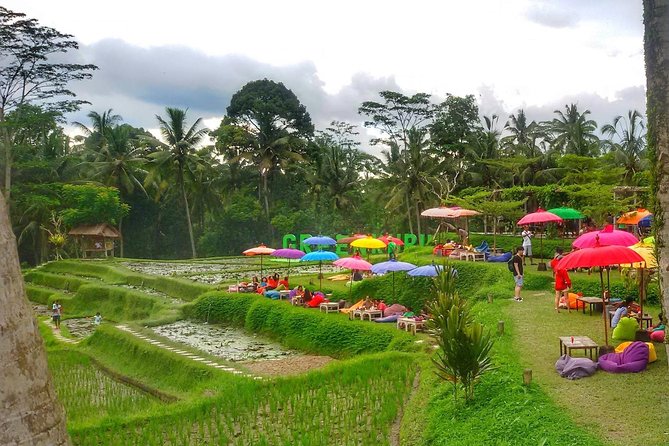 Half Day Cycling Tour ( Manual Bike ) - Tegallalang quick coffee stop, then into villages
