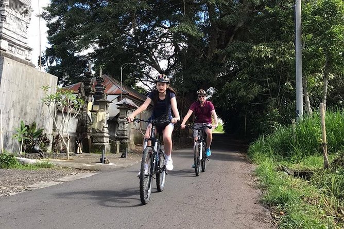 Half Day Cycling Tour ( Manual Bike ) - Balinese house visit: seeing daily life up close