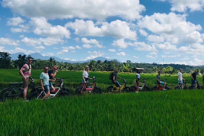Half-Day Electric Fat Bike Tour of Ubud - Key things that make this tour worth your time