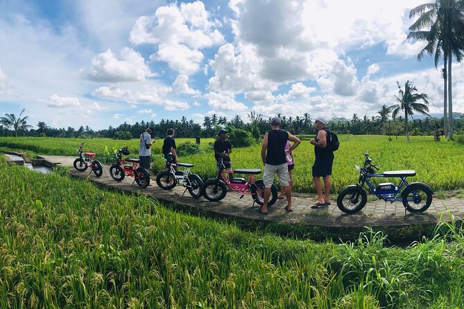 Half-Day Electric Fat Bike Tour of Ubud - Riding an e-fat bike in Ubud: where it really pays off