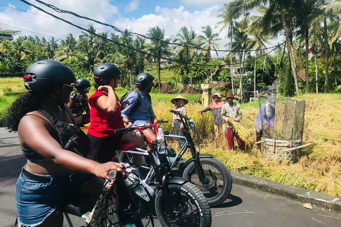 Half-Day Electric Fat Bike Tour of Ubud - Tegalalang Rice Terraces: scenery, photos, and the best kind of pause