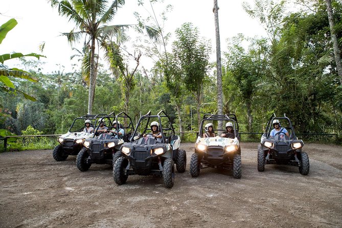 Half Day Jungle Buggies in Bali with Guide - Key highlights at a glance