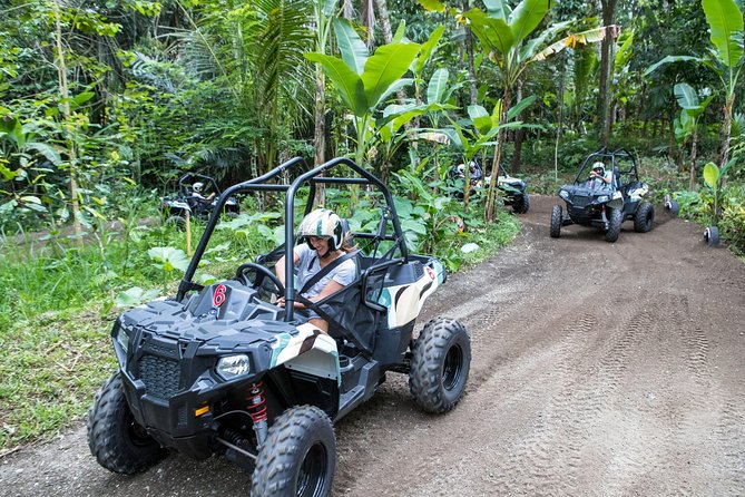 Half Day Jungle Buggies in Bali with Guide - Pickup and a 7:30am Start, Why It Works