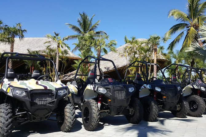 Half Day Jungle Buggies in Bali with Guide - Lunch Included, Plus the Chocolate Factory Showroom Stop
