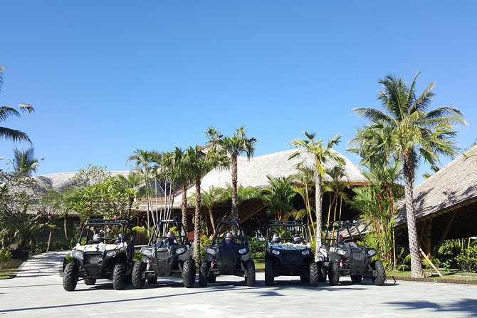 Half Day Jungle Buggies in Bali with Guide - Who Should Book This Half-Day Jungle Buggy ATV Tour