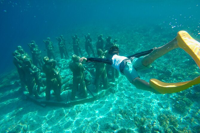 Half-Day Private Guided Snorkeling Turtles Underwater Statues - Gear included, and why that matters for comfort