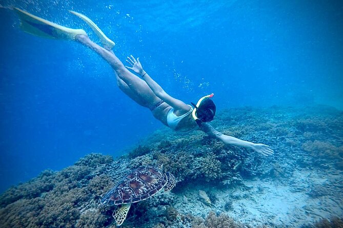 Half-Day Private Guided Snorkeling Turtles Underwater Statues - Gili Trawangan stop: the underwater Vespa and first look at the reef