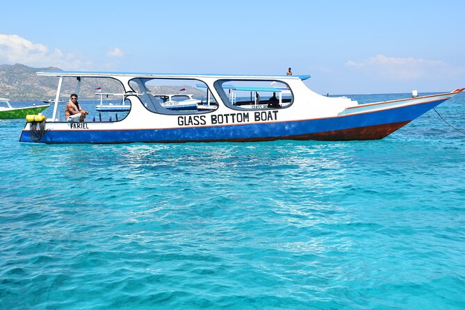 Half-Day Private Guided Snorkeling Turtles Underwater Statues - Fish Garden and Turtle Point: where turtle spotting becomes the main event