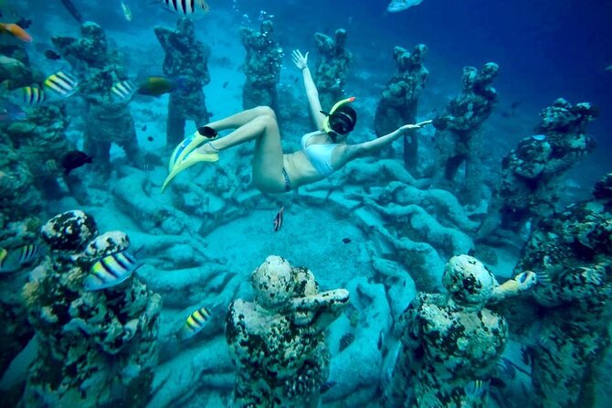 Half-Day Private Guided Snorkeling Turtles Underwater Statues - Price and what your $85 really buys