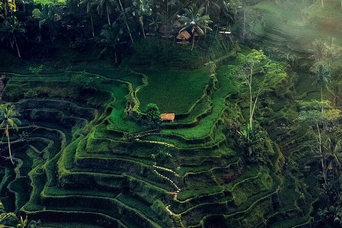 Half Day Private Tour in Ubud - Pickup Coverage: Getting From Kuta, Seminyak, and Beyond Without Guesswork