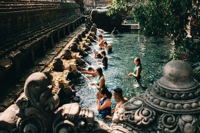 Half Day Private Tour in Ubud - Ubud Art Village Stop: The Timing-Based Bonus