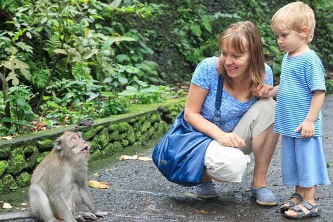 Half Day Private Tour in Ubud - Sacred Monkey Forest Sanctuary: A Fun Visit With Rules From Your Guide