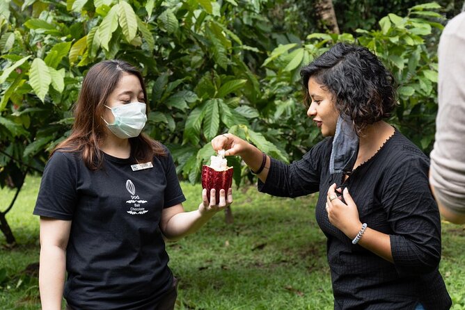 Half-Day Private Tour to Tanah Lot and Bali Royal Temple - Dress and etiquette: the fast checklist that saves stress