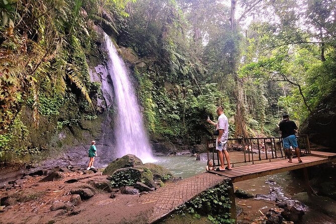 Half Day Tour Ubud Rice Terrace with Activities and Waterfall - How This 3-4 Hour Ubud Plan Fits Real Travel Days