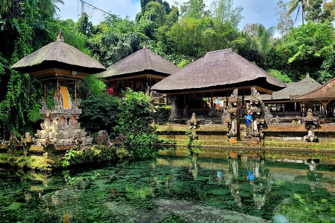 Half Day Tour Ubud Rice Terrace with Activities and Waterfall - Timing at the Terrace: How to Spend Your One Hour