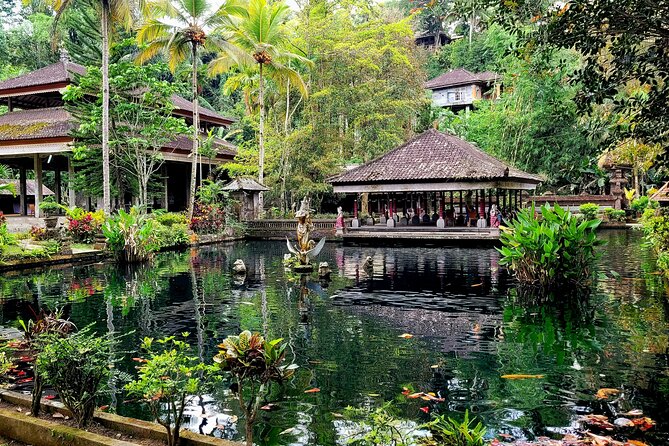 Half Day Tour Ubud Rice Terrace with Activities and Waterfall - Price Breakdown and Value: What You Actually Pay in Total
