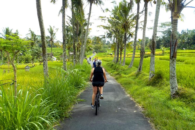 Half-Day Ubud Electric Cycling Tour to Tirta Empul Water Temple - Electric assist turns steep Ubud roads into a relaxed ride