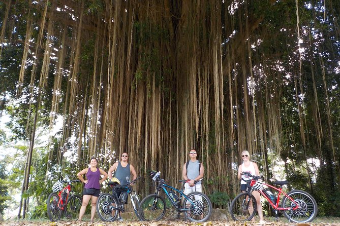 Half-Day Ubud Electric Cycling Tour to Tirta Empul Water Temple - Price and value: what $49 buys you beyond the bike