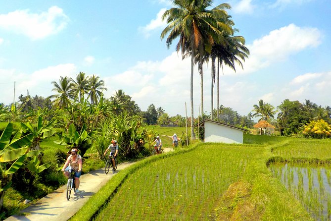Half-Day Ubud Electric Cycling Tour to Tirta Empul Water Temple - Who this tour fits best, and who should pick something else