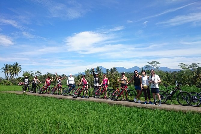 Half-Day Ubud Electric Cycling Tour to Tirta Empul Water Temple - Morning logistics: 8:00 am start, air-conditioned minivan, and door-to-start convenience