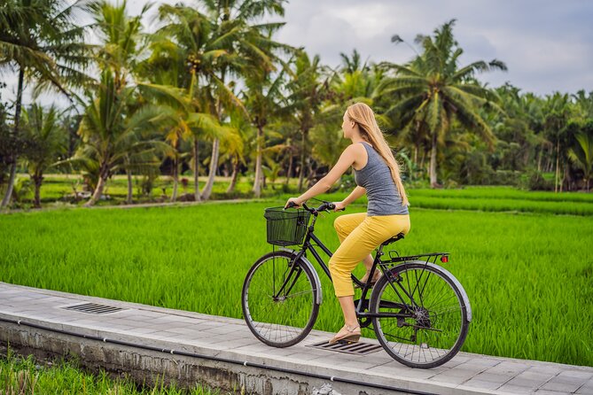 Half-Day Ubud Rice Field and Village Cycling Tour - Key moments that make this ride worth planning