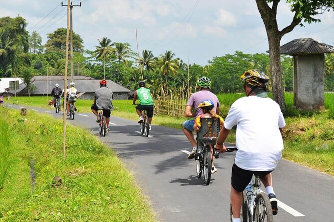 Half-Day Ubud Rice Field and Village Cycling Tour - From pickup to pedals, the logistics are built for comfort