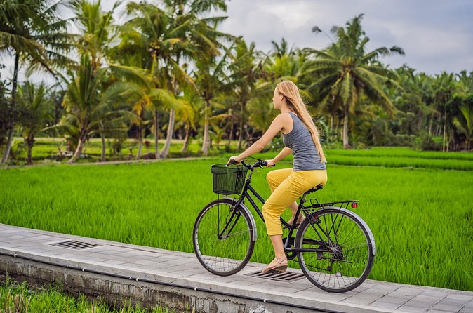 Half-Day Ubud Rice Field and Village Cycling Tour - The cycling route: villages, jungles, plantations, and rice terraces
