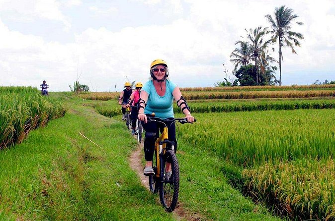 Half-Day Ubud Rice Field and Village Cycling Tour - Learning at a traditional Balinese house compound