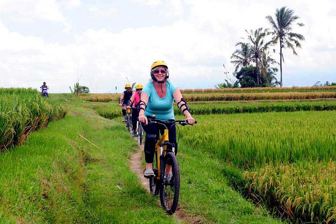Half-Day Ubud Rice Field and Village Cycling Tour - Value: why $41.03 feels reasonable for what you get