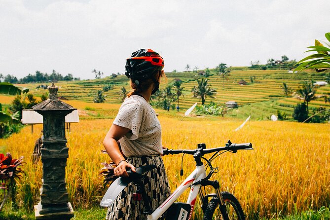 Half-Day Ubud Rice Field and Village Cycling Tour - Where you ride from Mount Batur toward Ubud