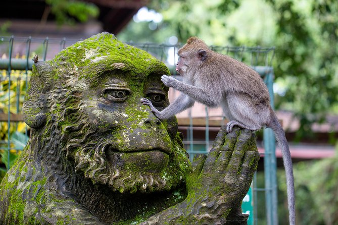 Half Day Ubud Tour: Ubud Unique Spots - 2pm pickup and how the 6 hours usually feel