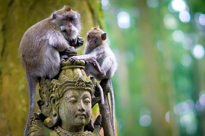 Half Day Ubud Tour: Ubud Unique Spots - The safety briefing is not optional, and it protects your trip