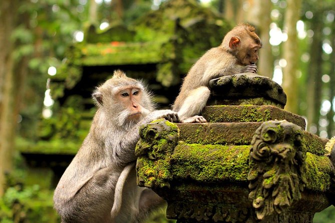 Half Day Ubud Tour: Ubud Unique Spots - The people factor: guides and drivers make the small differences big