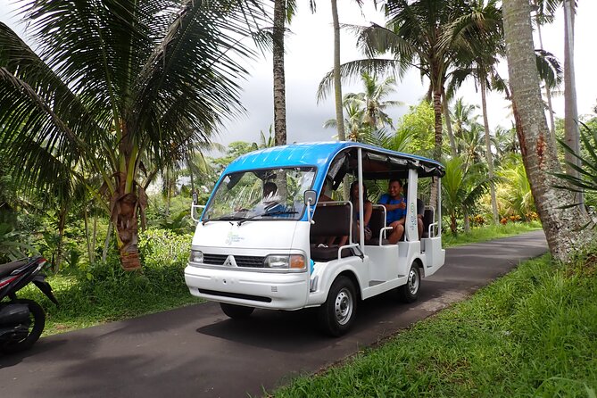 Half Day Ubud Waterfall Tour - Key Points Before You Go