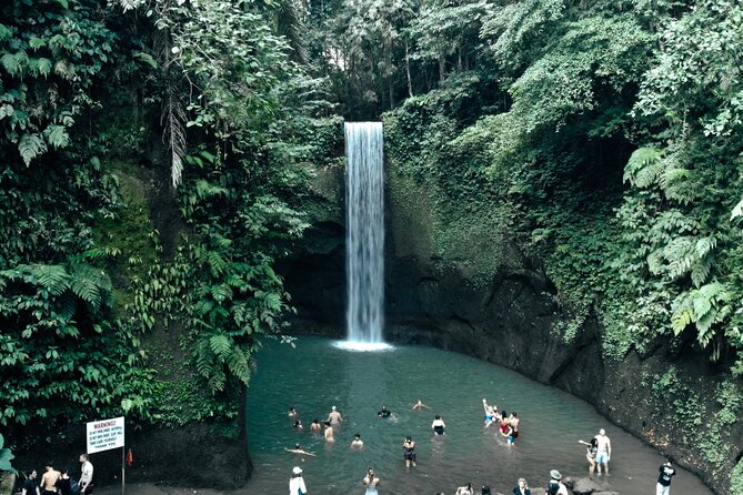 Half Day Ubud Waterfall Tour - Stop Two: Taman Sari Waterfall and Natural Pool Reset