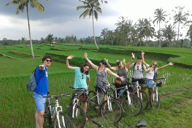 Halo Bike Cycling Tour Downhill - How This Downhill Ubud Bike Day Really Works
