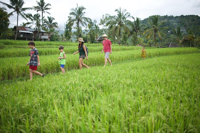 Haunted Valley Waterfall ATV and Bike Tour - Quick Take: Does This Ubud ATV and Bike Tour Fit You?