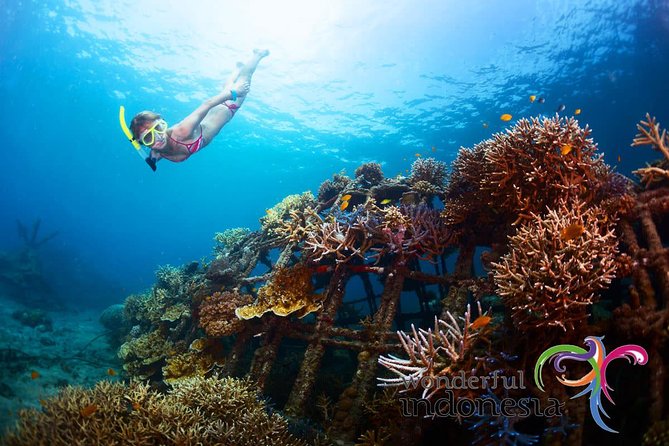 Have fun 1 day in Nusa Penida: snorkeling, kelingking & broken beach incl lunch - Key Points You’ll Care About Before You Go