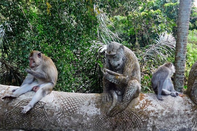 Hire Bali Driver for 10-hour (Bali as You Please) - Pickup zones that matter: where the day starts for you