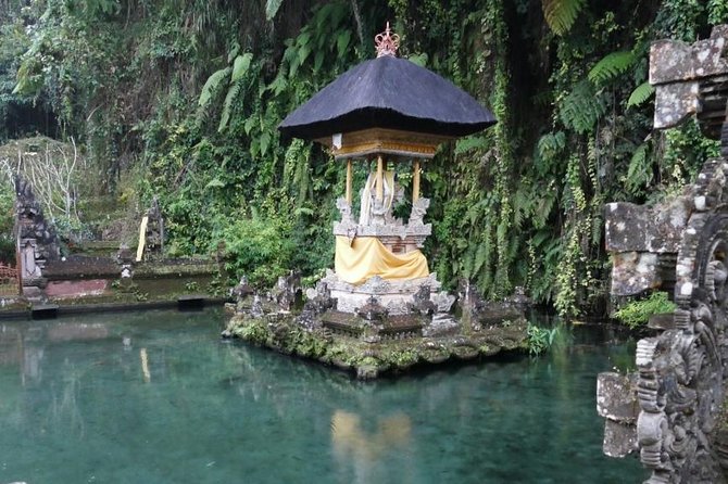 Hire Bali Driver for 10-hour (Bali as You Please) - Waterfalls and water gardens: the best spots for scenery lovers