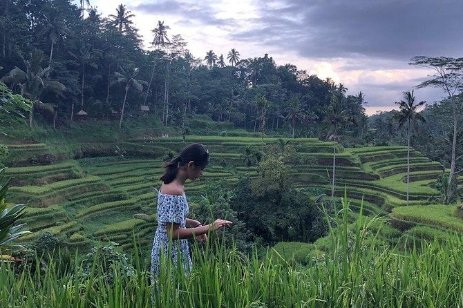 Hire Bali Driver for 10-hour (Bali as You Please) - Gates, parks, and the south-coast style you can actually fit