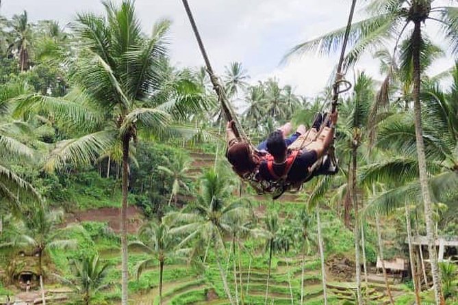 Hire Private Bali Driver - Driver-guide quality: English, punctual pickups, and real-world shortcuts