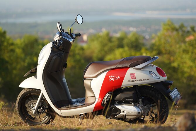 Honda Scoopy Rental in Bali - Quick hits before you rent
