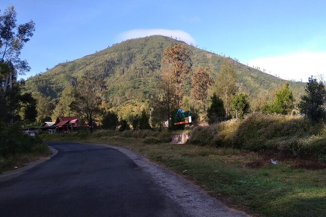 Ijen Crater Tour From Bali 1 Day - Who should book this Ijen Crater day trip