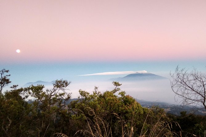 Ijen Crater Tour - Banyuwangi to Ketapang logistics, the part you do not want to mess up