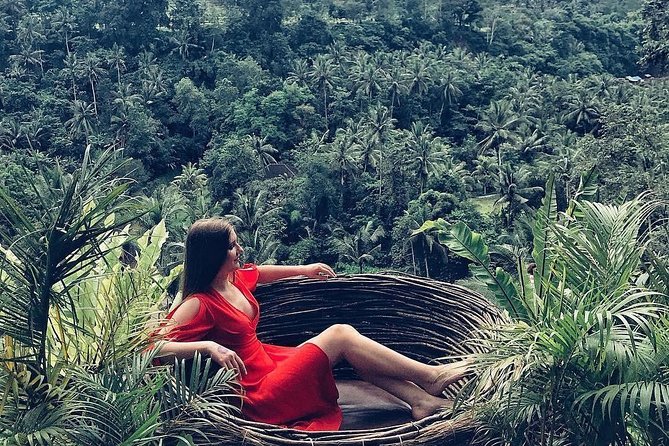 Individual Bali Day Trip with Private Driver and Free WiFi - Building your 8-hour plan in the south (or your own Ubud loop)