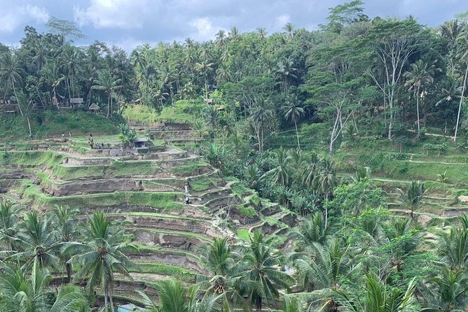 Individual Bali Day Trip with Private Driver and Free WiFi - South Bali route: Nusa Dua to Uluwatu without feeling like a herd